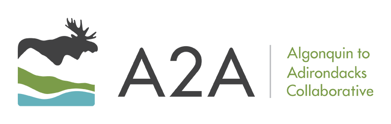 Algonquin to Adirondacks Collaborative Logo